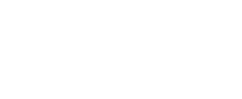 Together Bridge Foundation